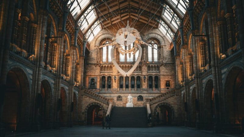 London: Guided Tour of the Natural History Museum - Final Thoughts: Is It Worth It?