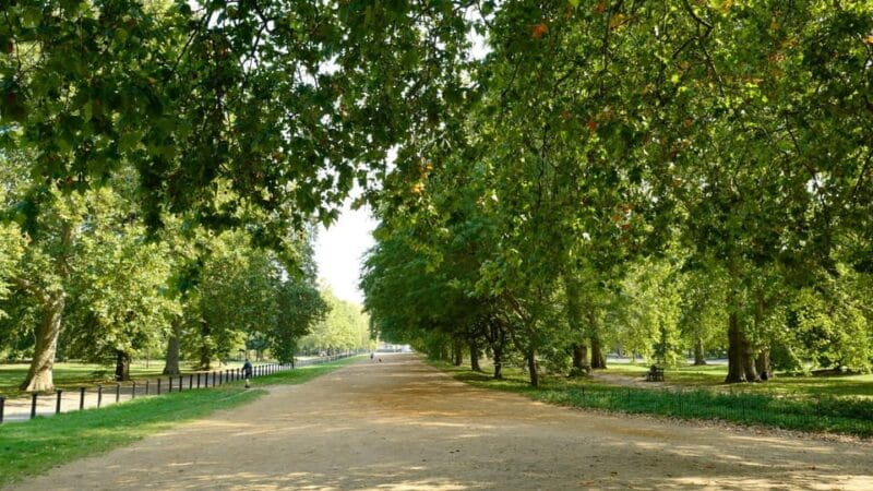 London: Hop-On Hop-Off Pass with Thames River Cruise 24 Hrs - FAQ