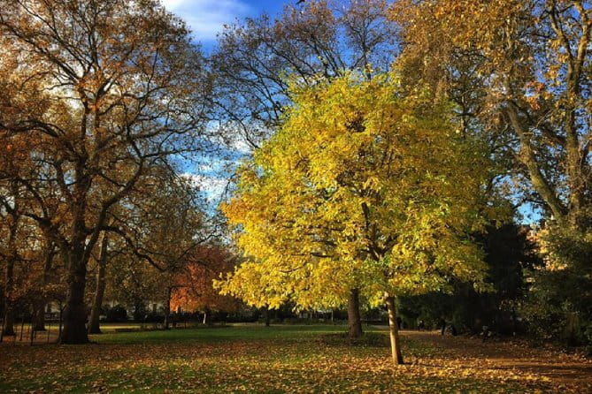 London Literary Private Walking Tour Of Bloomsbury - Who Will Love This Tour?