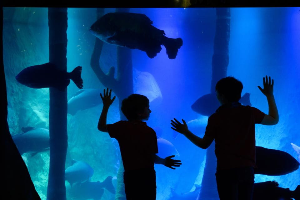 London: Madame Tussauds, SEA LIFE and London Dungeon Entry - Madame Tussauds Experience