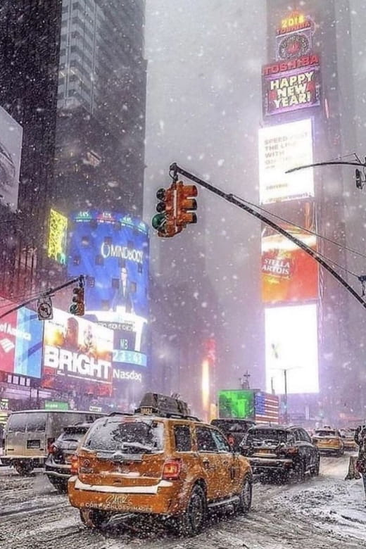 London: Magical Christmas Lights Guided Tour by Private Taxi - Who Will Love This Tour?