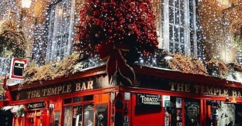 London: Magical Christmas Lights Guided Tour by Private Taxi - Who Should Consider This Experience?