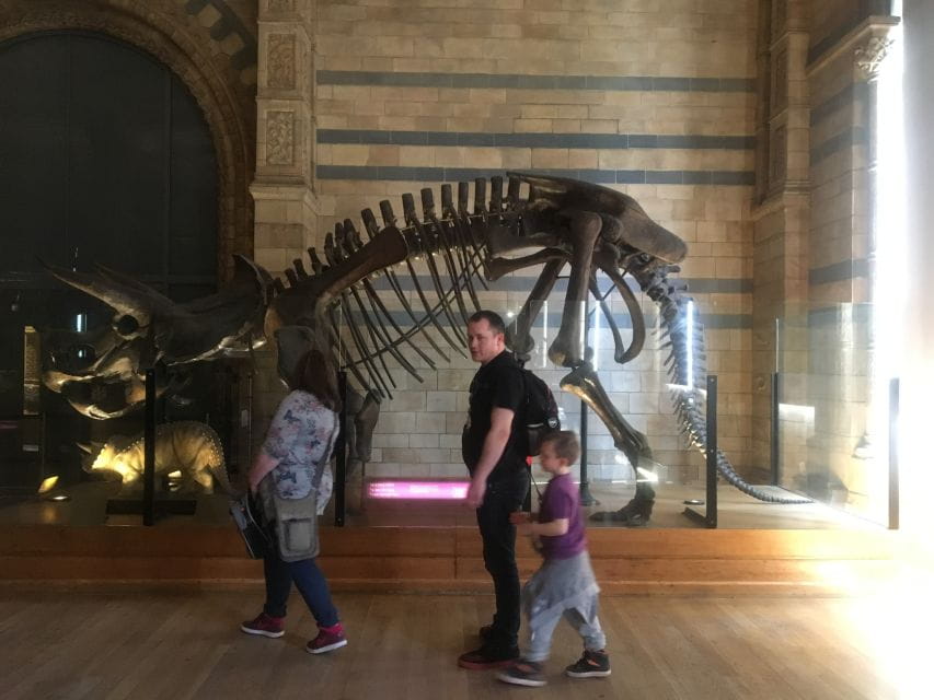 London: Natural History Museum Entry Ticket and Guided Tour - Frequently Asked Questions