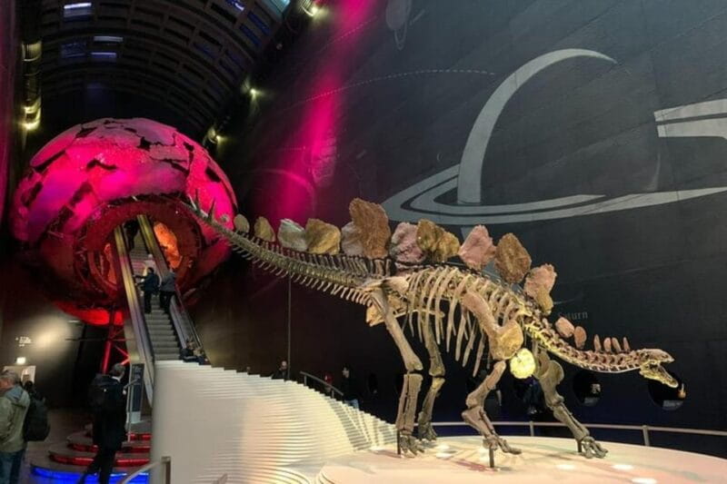 London: Natural History Museum Private Tour & Skip the line - Key points / Takeaways