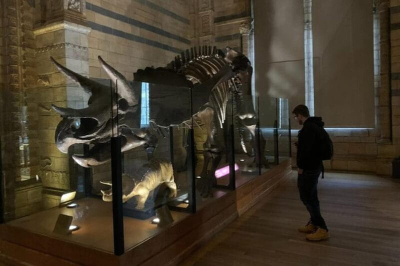 London: Natural History Museum Private Tour & Skip the line - Final Thoughts: Is It Worth It?