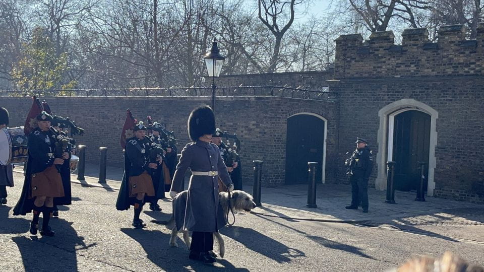 London: Royal Family and Changing of the Guards Walking Tour - Tour Inclusions