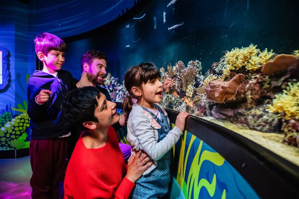London: SEA LIFE Entry Ticket - Rainforest Encounters