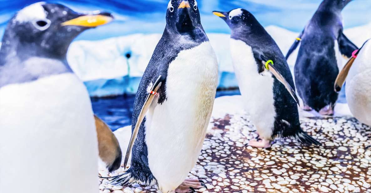 London: SEA LIFE Entry Ticket - Visitor Information