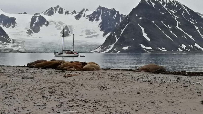 Longyearbyen: 10-Day Spitsbergen Cruise on Havella Boat - Key points / Takeaways