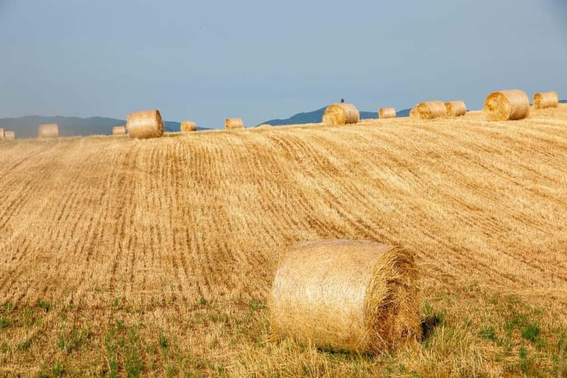 Lorica: e-bike rental - FAQ