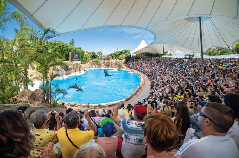 Loro Parque and Siam Park Combined Admission Tickets - A Fair Look at the Drawbacks