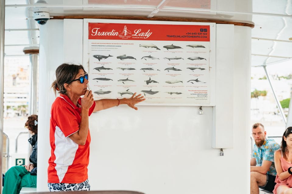 Los Cristianos: Eco-Yacht Whale Watching Cruise With Swim - Key Points