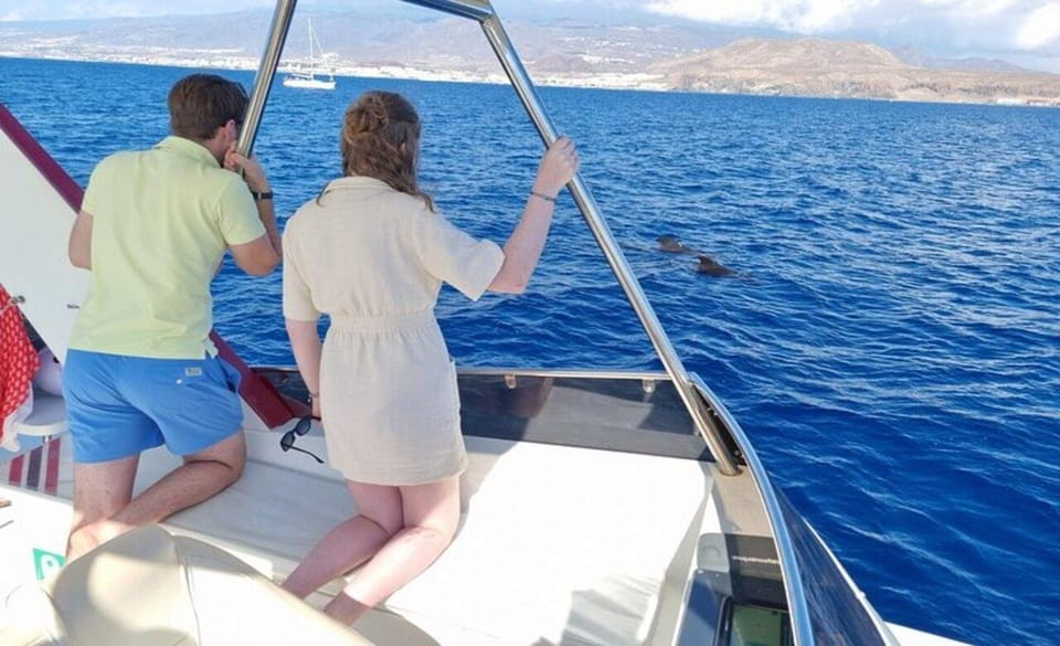 Los Cristianos: Eco-Yacht Whale Watching Cruise With Swim - Participant Guidelines
