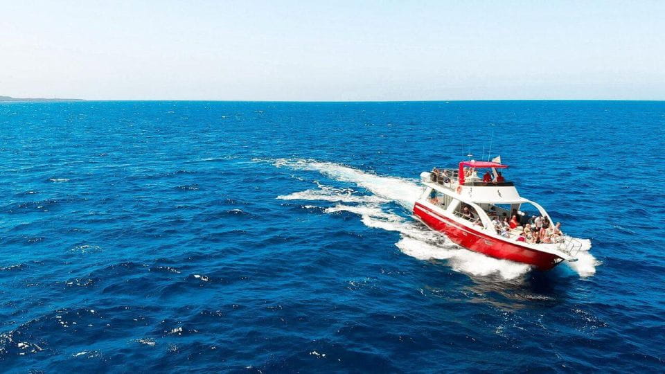 Los Cristianos: Eco Yacht Whale Watching Tour at Sunset - What to Expect on Board