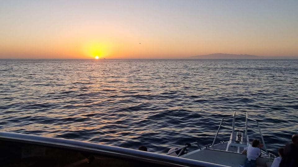 Los Cristianos: Eco Yacht Whale Watching Tour at Sunset - Health and Safety Recommendations