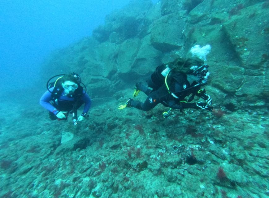 Los Cristianos: Try Dive for Beginners - Customer Feedback
