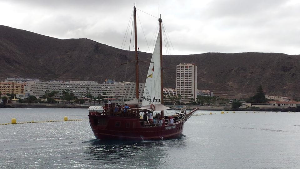 Los Cristianos: Whale-Watching Tour With Swimming Stop - Itinerary and Experience
