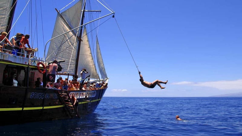 Los Gigantes: Dolphin & Whale Watching Tour on a Pirate Boat - Final Thoughts: Who Will Love This Experience?