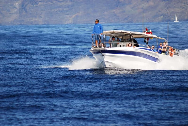 Los Gigantes: Whale or dolphin watching and swimming tour in Masca - Discovering the Wonders of the Los Gigantes Boat Tour
