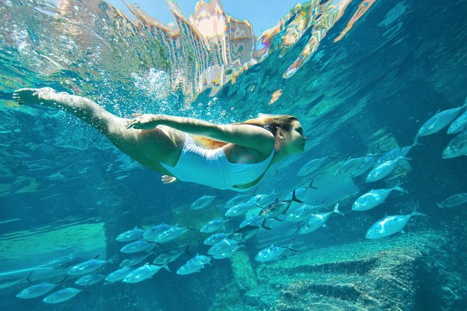 Low Cost Airport Transfers - Service Overview