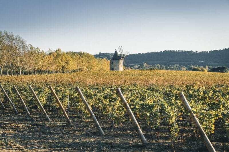 Luberon: Vineyard Tour and Wine Tasting - Exploring Provence’s Vineyards: What You Can Expect