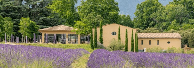 Luberon: Vineyard Tour and Wine Tasting - Final Thoughts