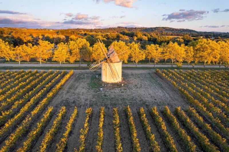 Luberon: Vineyard Tour and Wine Tasting - Frequently Asked Questions