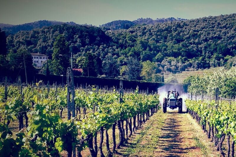 Lucca: Guided E-Bike and Wine Tour - Starting at Lucca’s Tourist Center and Safety Briefing