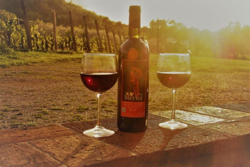 Lucca: Guided E-Bike and Wine Tour - Riding Out into the Countryside and Charming Villages