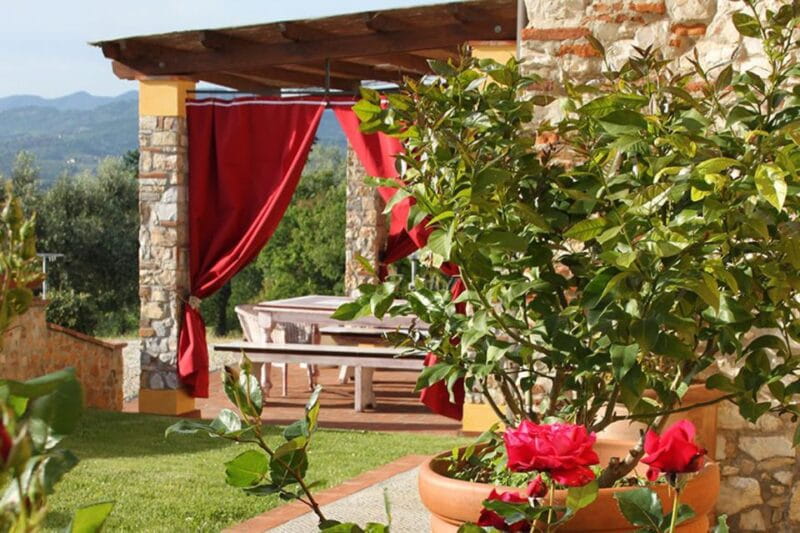 Lucca: Guided E-Bike and Wine Tour - Visiting the Vineyard and Learning About Wine-Making