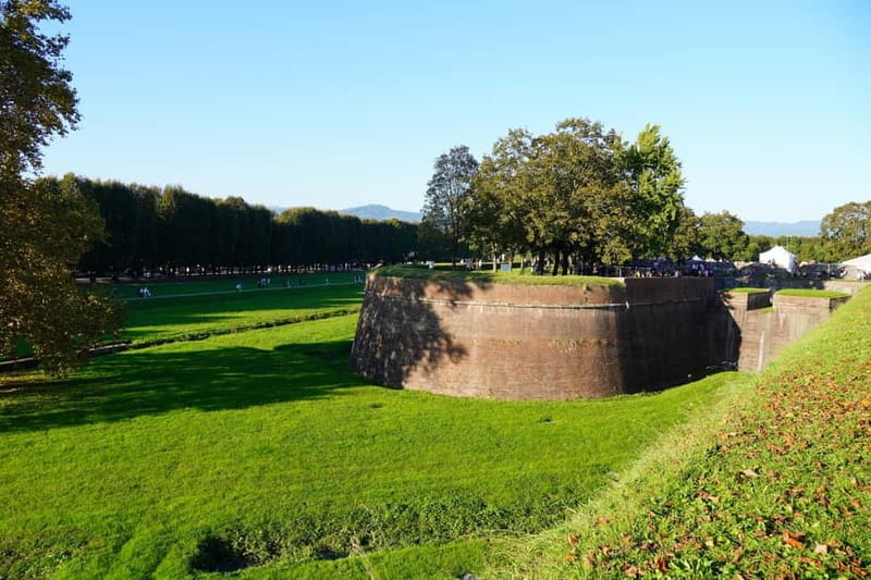 Lucca: guided tour of San Martino, San Frediano, city center - Who Will Love This Tour?
