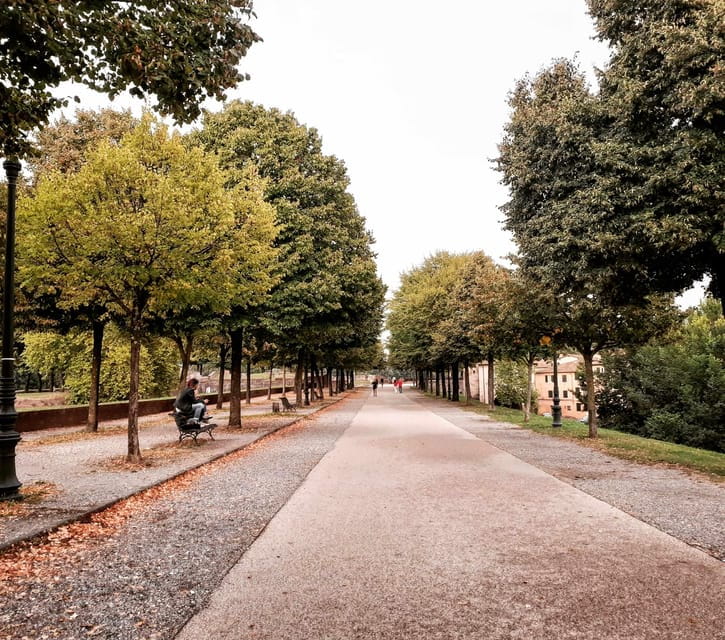 Lucca: Guided Walking Tour - Price and Overall Value