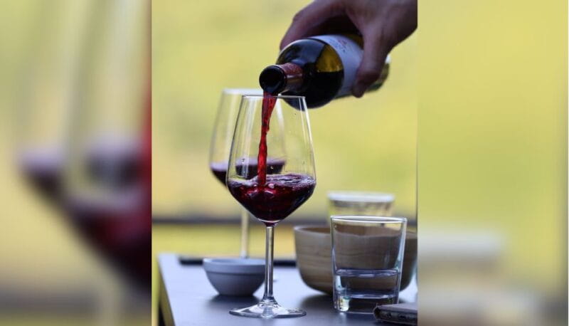 Lucca: Guided Winery Tour with Wine Tasting - Key Points and Takeaways