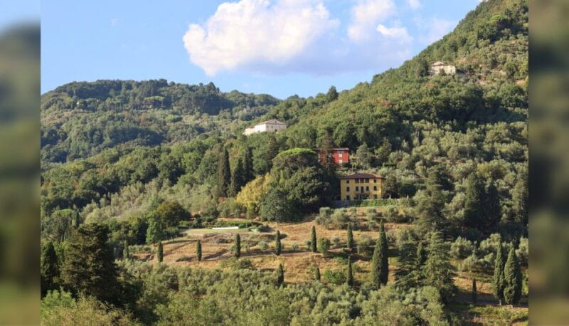 Lucca: Guided Winery Tour with Wine Tasting - Walking the Vineyard: An Accessible Stroll