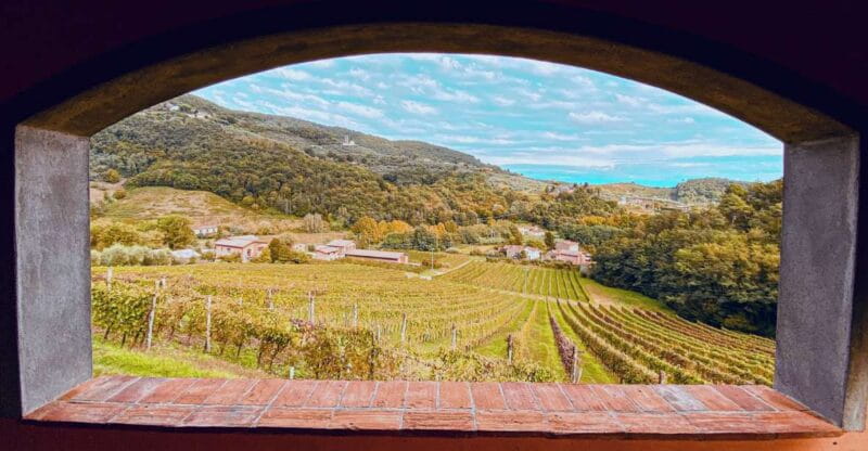 Lucca: Guided Winery Tour with Wine Tasting - Final Thoughts: Is This the Right Tour for You?