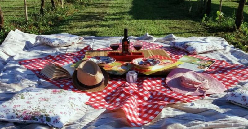 Lucca: Picnic Lunch at a Vineyard by Bike - Introducing the Lucca Picnic Lunch at a Vineyard by Bike Experience