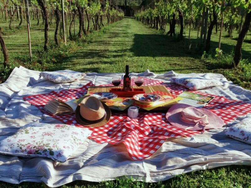 Lucca: Picnic Lunch at a Vineyard by Bike - The Sum Up
