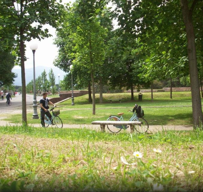 Lucca Sightseeing Tour by E-bike or City bike - Key points / Takeaways