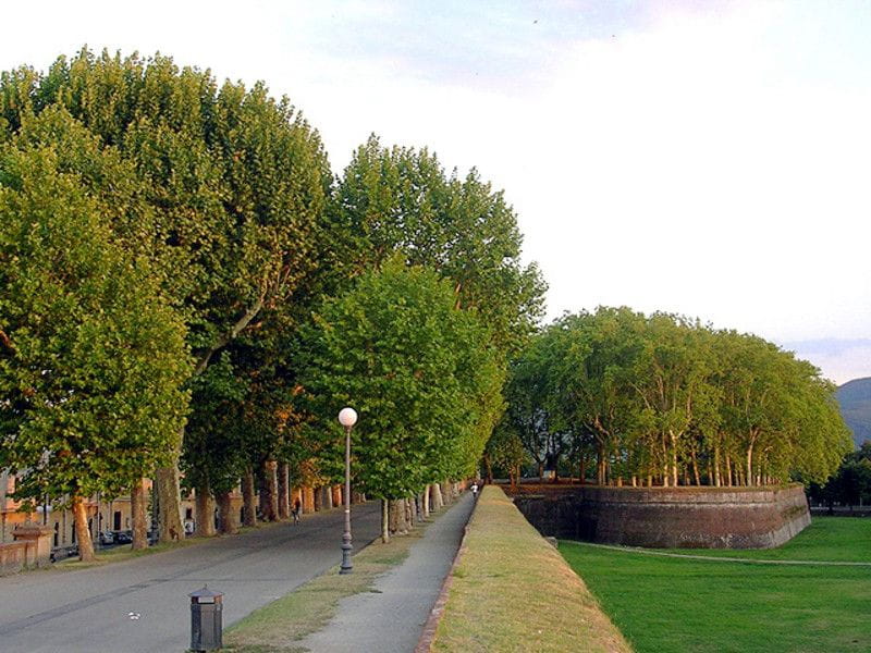 Lucca Sightseeing Tour by E-bike or City bike - Final Thoughts: Is It Worth It?