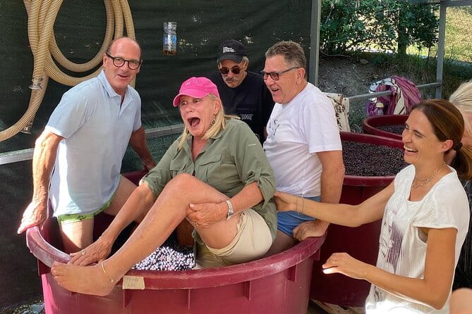 Lucca Tour and Pisa Tower + WineTasting by van from La SpeziaPort - An In-Depth Look at the Tour Itinerary