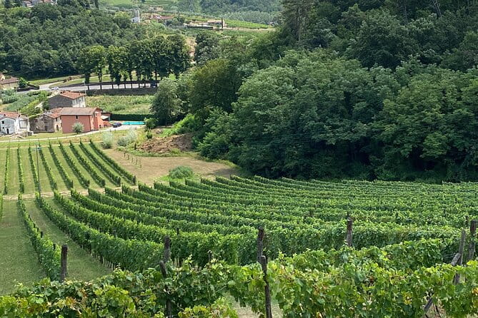 Lucca Tour and Pisa Tower + WineTasting by van from La SpeziaPort - Final Thoughts on this Tuscany Day Trip