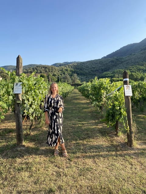 Lucca tour & Pisa tower + Wine Tasting by van from La Spezia - FAQ