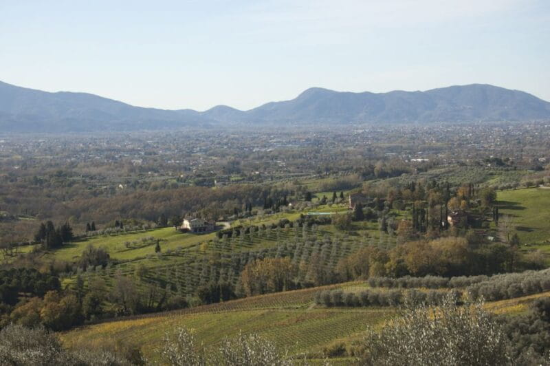 Lucca: Trekking Bike Rental - The Sum Up