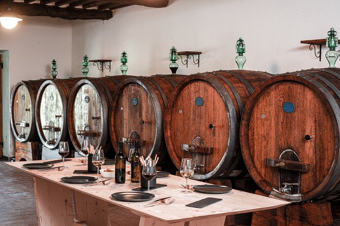 Lucca: Wine Tasting Experience - Tenuta Adamo Winery - Tasting and Sampling