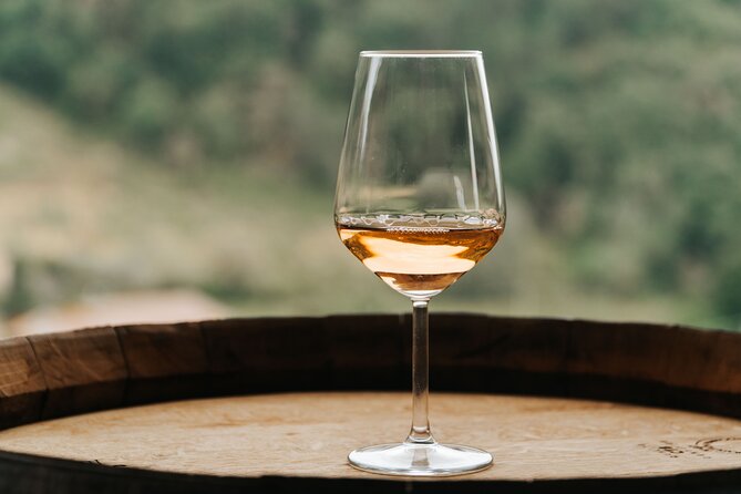 Lucca: Wine Tasting Experience - Tenuta Adamo Winery - Meeting and Pickup