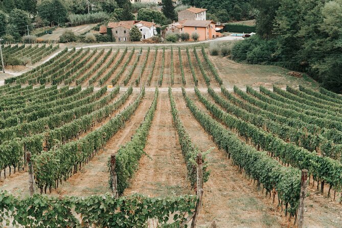 Lucca: Wine Tasting Experience - Tenuta Adamo Winery - Included Offerings