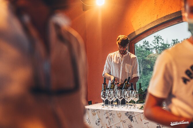 Lucca: Wine Tasting Experience - Tenuta Adamo Winery - Additional Information