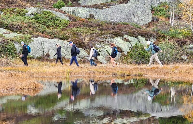 Lucerne: 2-Day Hike and Bike Combo Tour with Lake Cruise - Who is This Tour Best For?