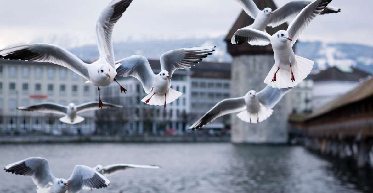Lucerne: City Exploration Game and Tour - Tour Experience