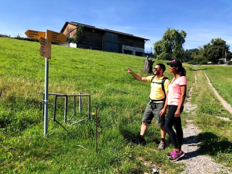 Lucerne: Farm Tour and Cheese Tasting - Key Points / Takeaways